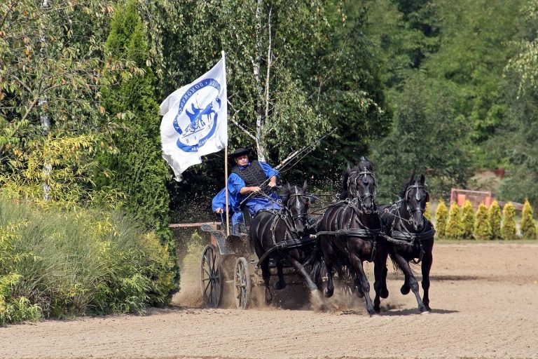Hagyományőrző Lovasbemutató a Lázár Lovasparkban